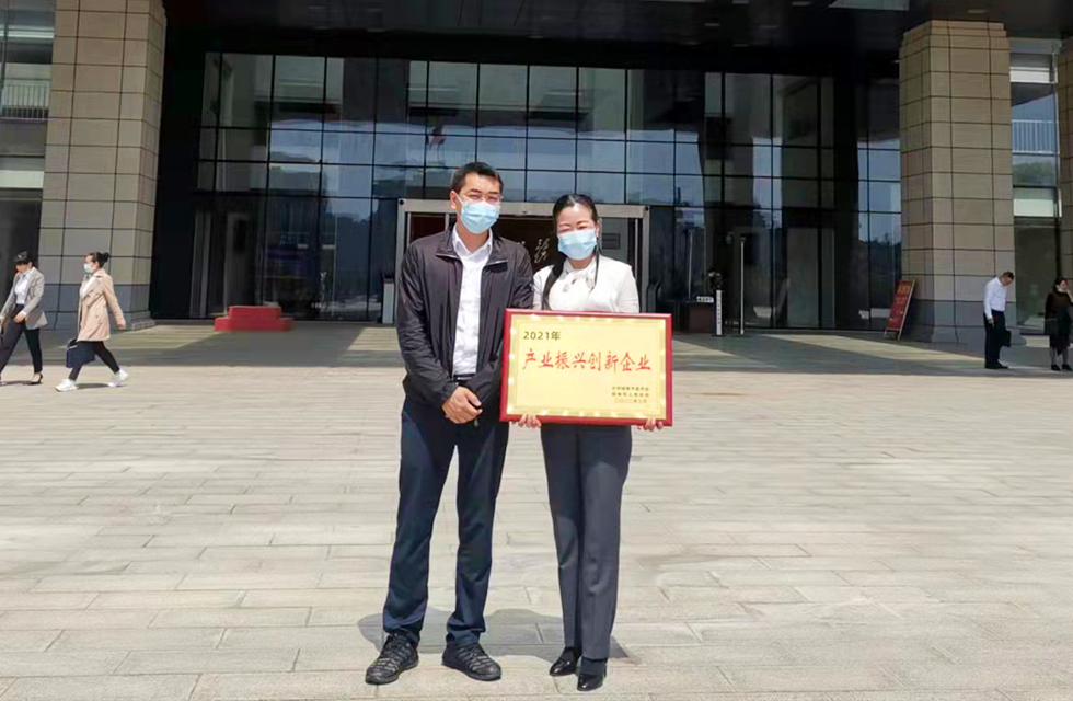 實(shí)力彰顯！全市工業(yè)振興大會(huì)召開，桂林鴻程斬獲多項(xiàng)榮譽(yù)